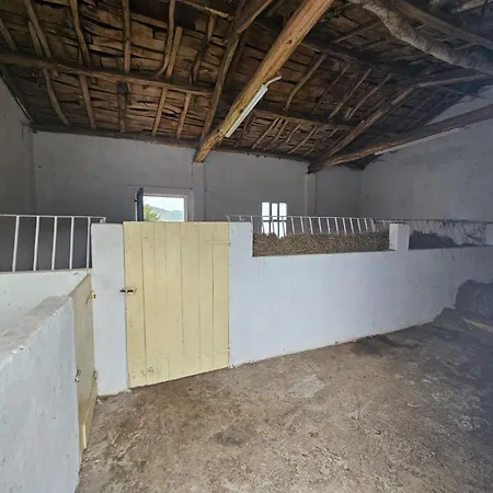Casa David-con Cuadras Caballos Appartamento Arzúa