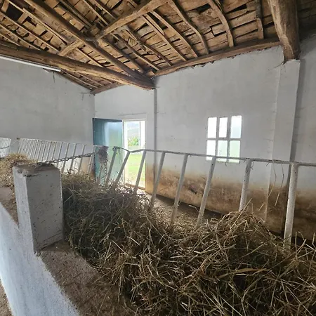 Casa David-con Cuadras Caballos *