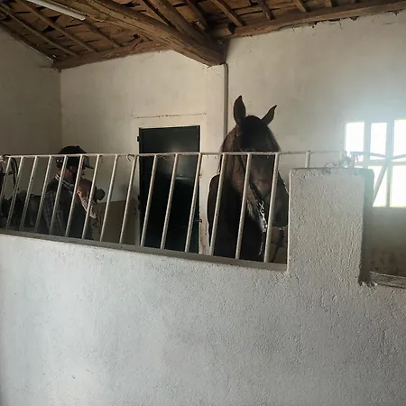 아파트 Casa David-con Cuadras Caballos