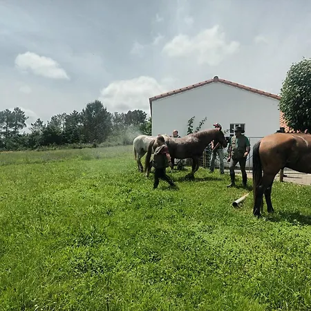 Lägenhet Casa David-con Cuadras Caballos