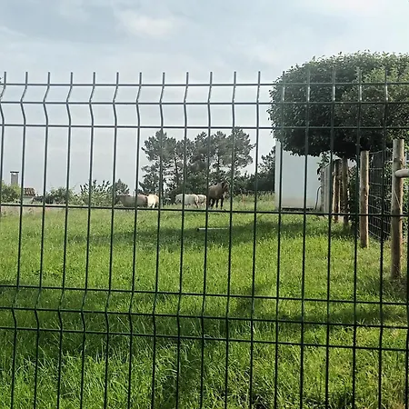 Casa David-con Cuadras Caballos Arzúa