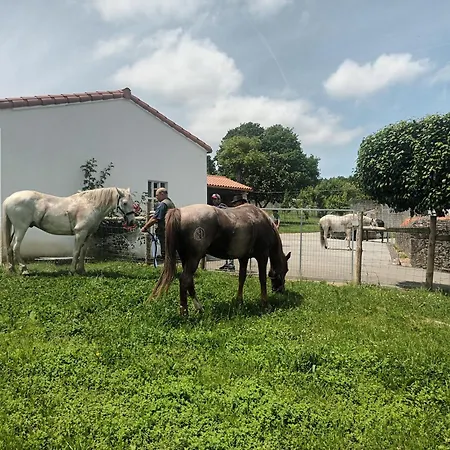 Casa David-con Cuadras Caballos 아주아