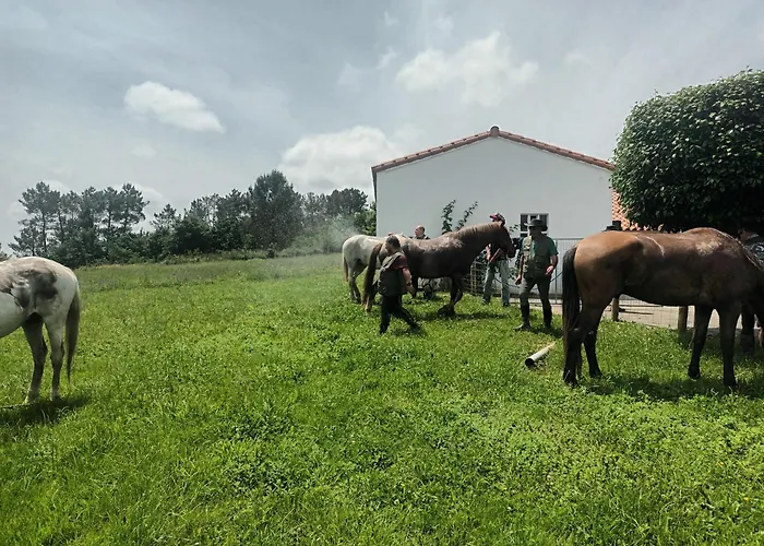 דירה Casa David-con Cuadras Caballos