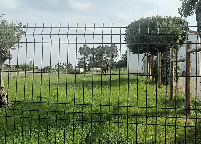 Casa David-con Cuadras Caballos Arzúa