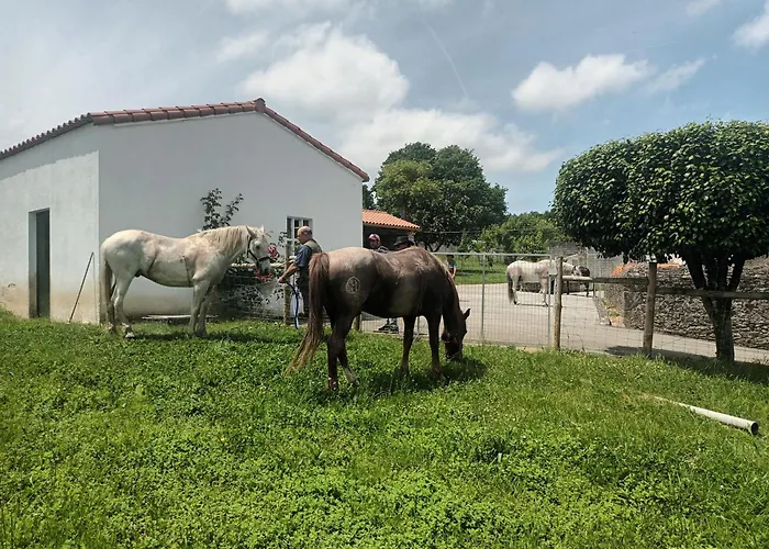 Casa David-con Cuadras Caballos Arzúa